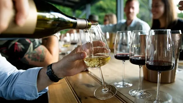 catas de vino
