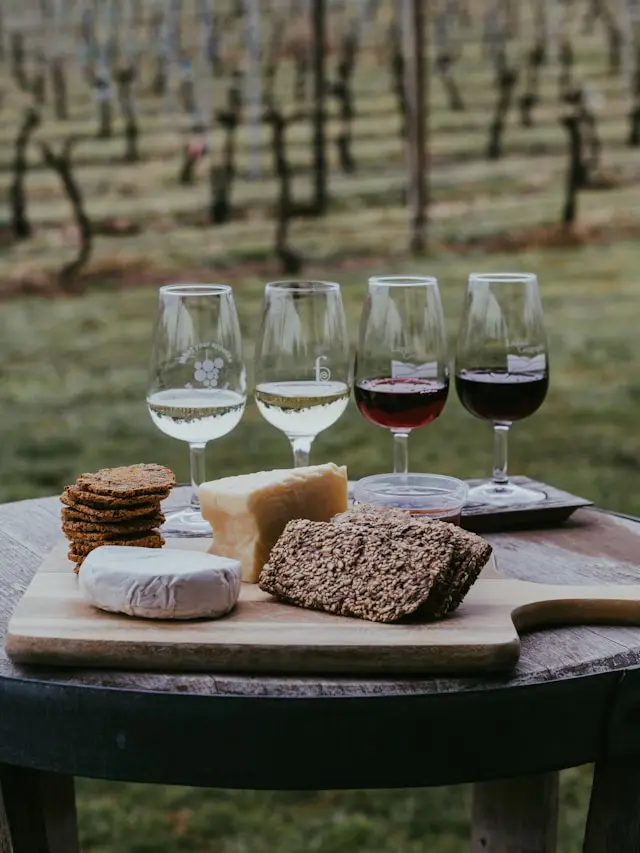 catas de vino