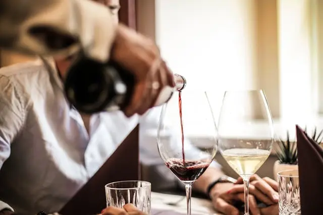 catas de vino
