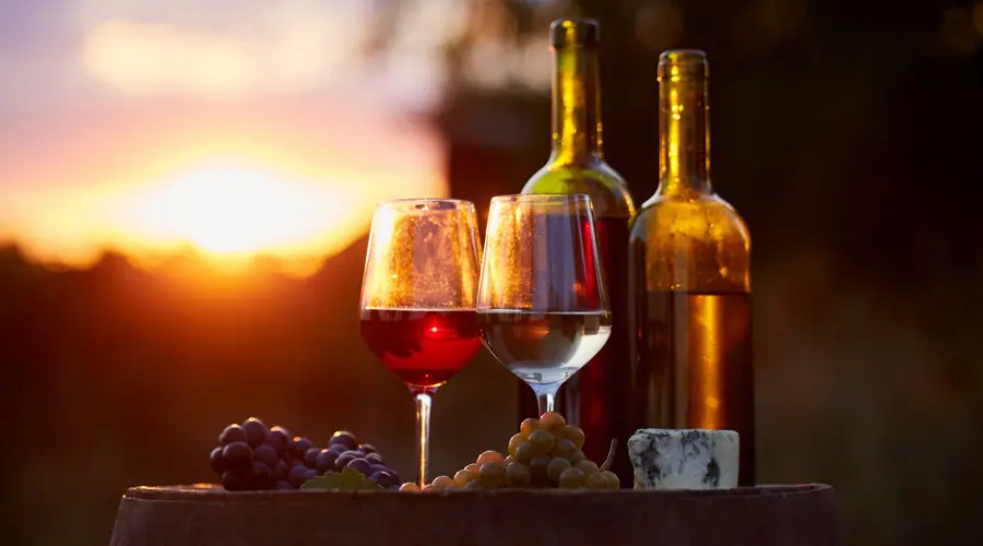 diferentes tipos de vinos organicos