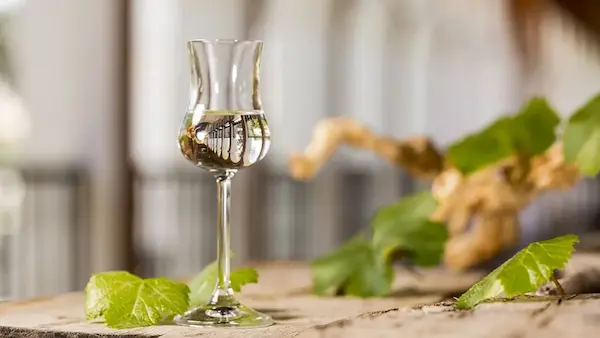 pisco peruano