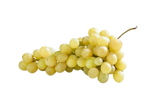 Origen del Vino Perfecto Amor Italia