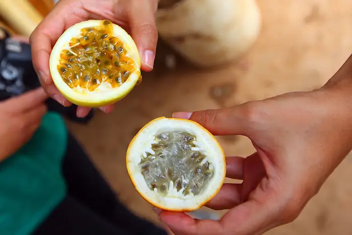 origen de maracuya sour