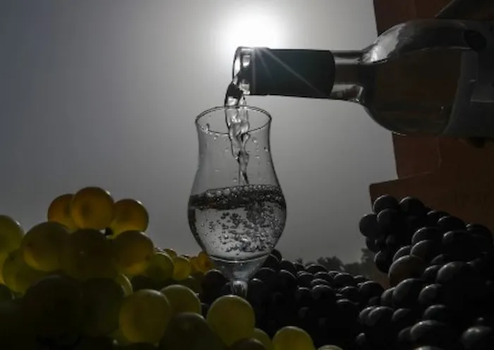 qué es el pisco albilla