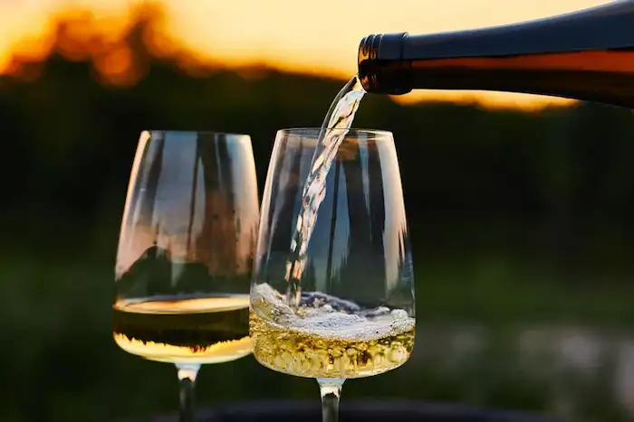¿Para qué sirve el Vino Borgoña Blanco?