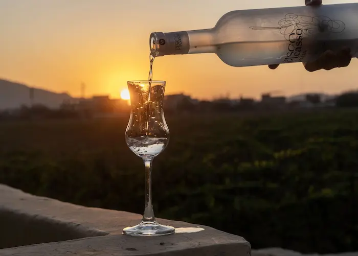 Qué es el Pisco Italia