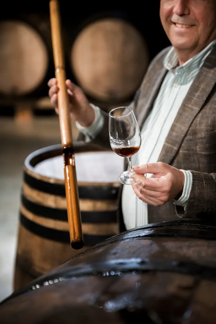 Proceso de elaboración del vino