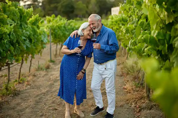 Razones para comprar Vino Borgoña Tinto semiseco​