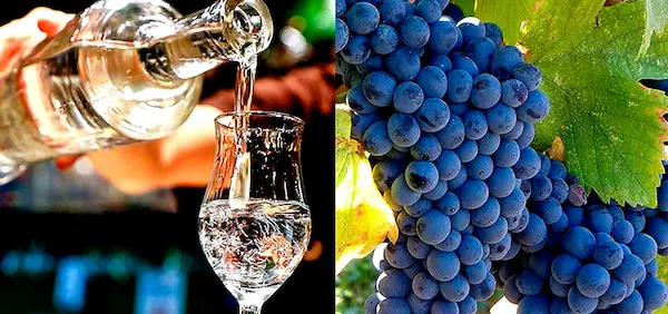 Cómo disfrutar el pisco en un viaje por la sierra peruana
