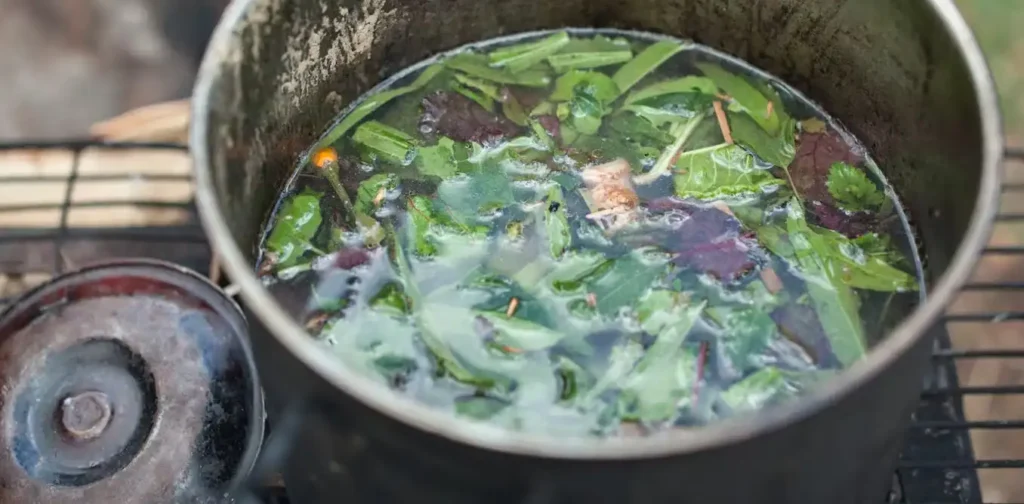 Cómo se hace la ayahuasca