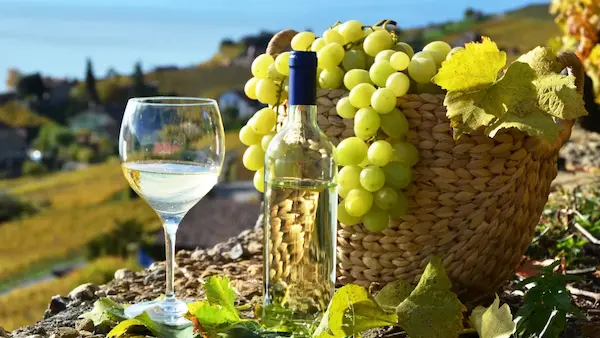 La historia y magia del pisco en la cultura andina