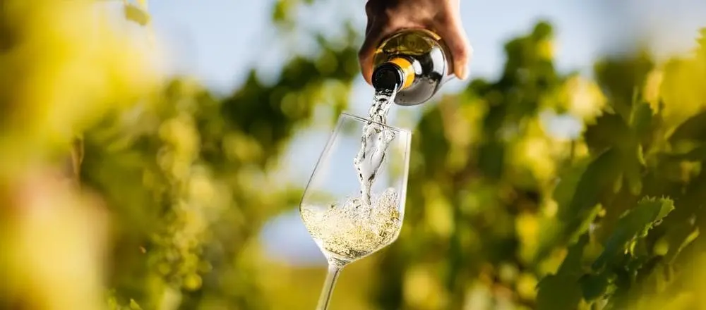 Tipos de pisco que se obtiene de los viñedos en las rutas del pisco