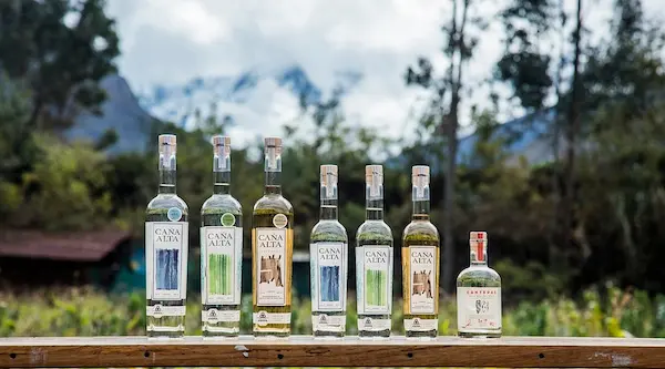 Turismo andino y la magia del pisco