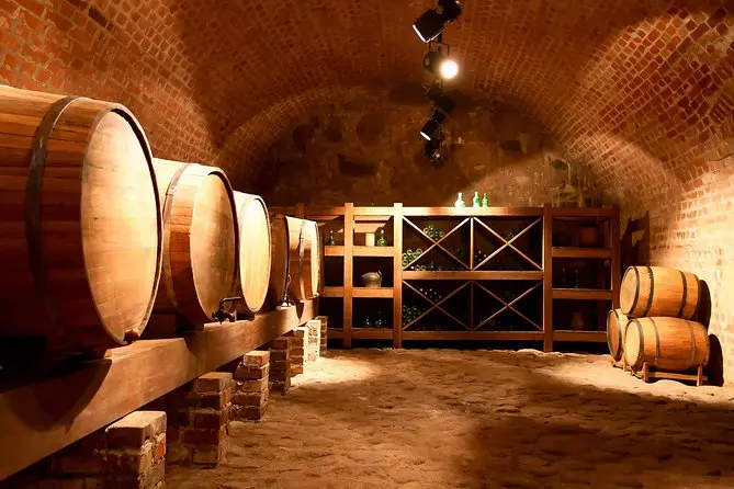 viñedo ubicado dentro de una de las 5 rutas de pisco en Perú