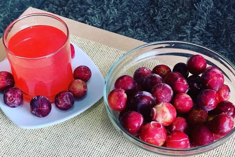 Camungo sour