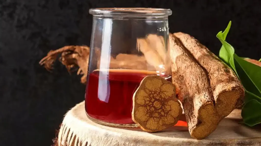 ayahuasca