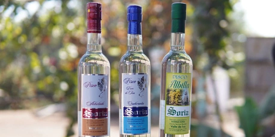 Cómo celebrar el Día del Pisco en Perú