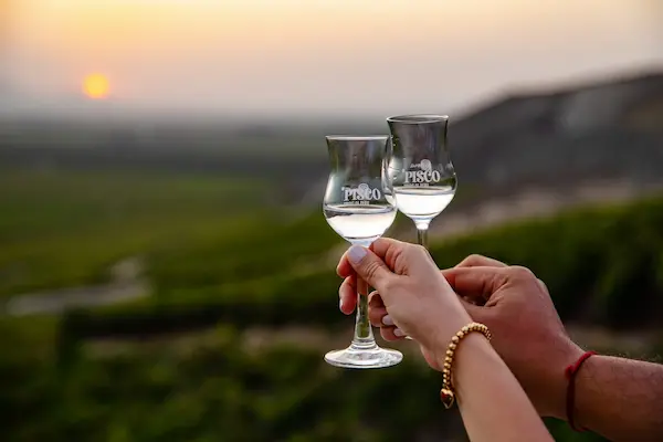 Consejos para el viajero amante del pisco