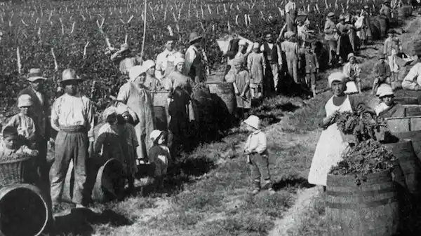 Del virreinato a la tradición siglos de legado