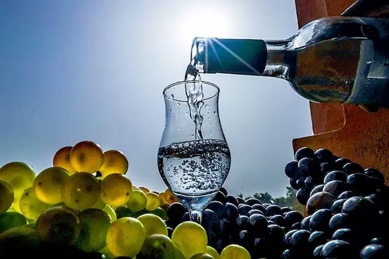 turismo del pisco en Perú, sirviendo pisco