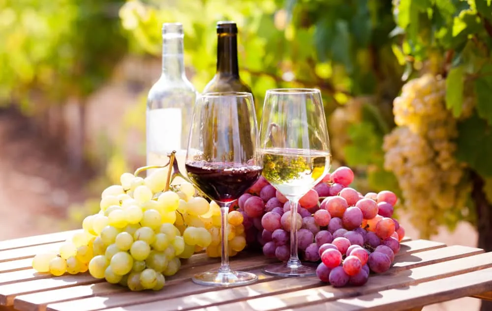 Mejores marcas de vinos para tener en cuenta