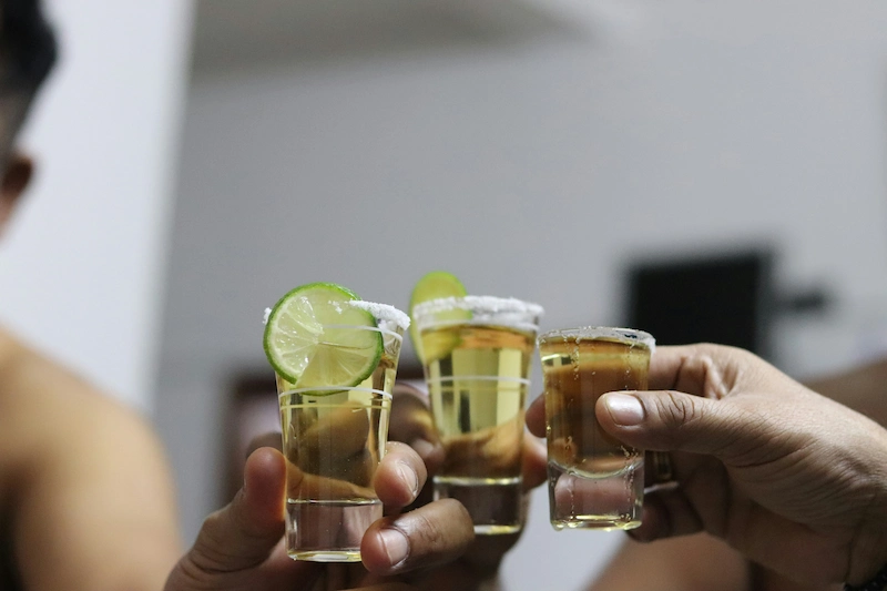 Principales bebidas