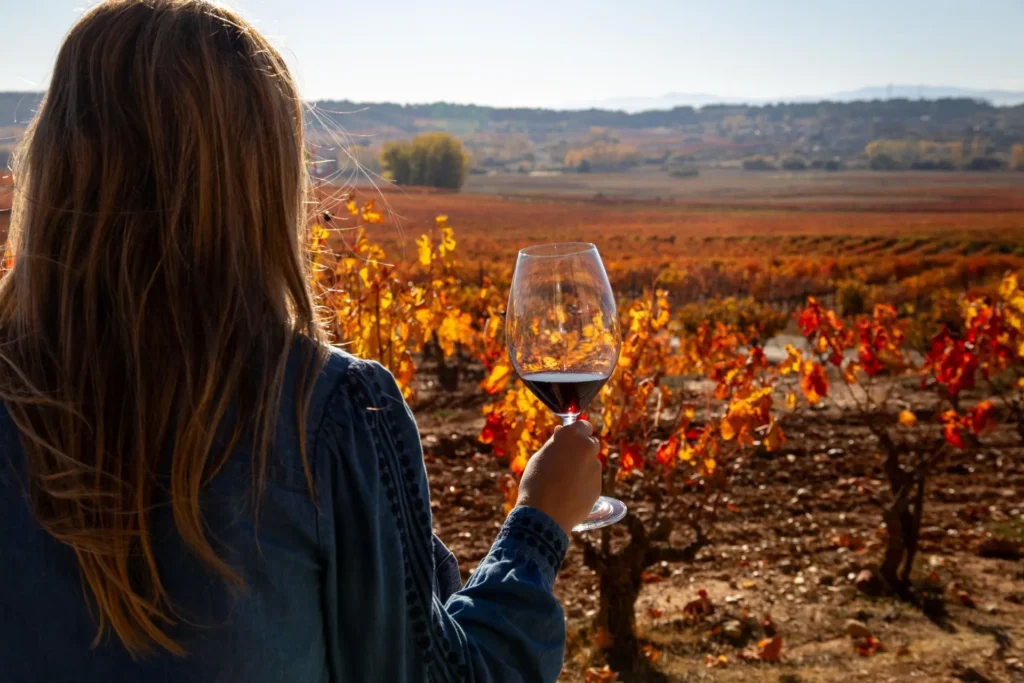 catar un vino