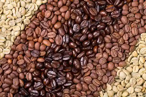 Diferentes tipos y niveles de tostado de granos de café.