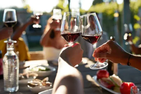 Razones para comprar Vino Borgoña Blanco
